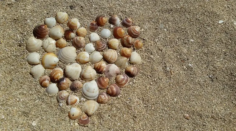 Hart van schelpen in het strandzand